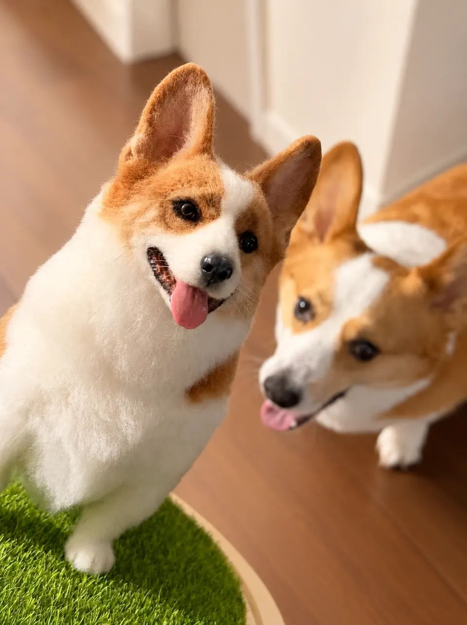 A needle-felted corgi portrait on a green display base beside a real corgi, with matching tan-and-white markings and upright ears.